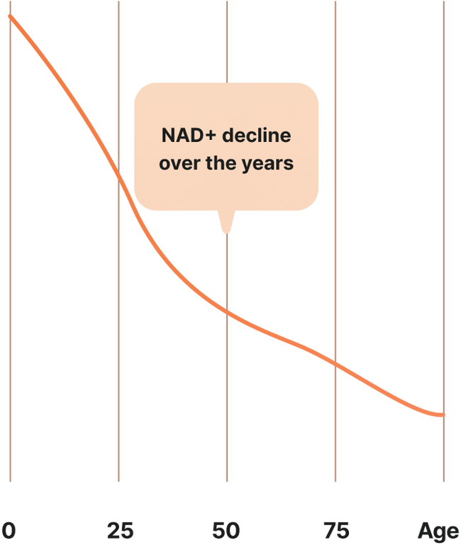 NAD+ Decline as we age