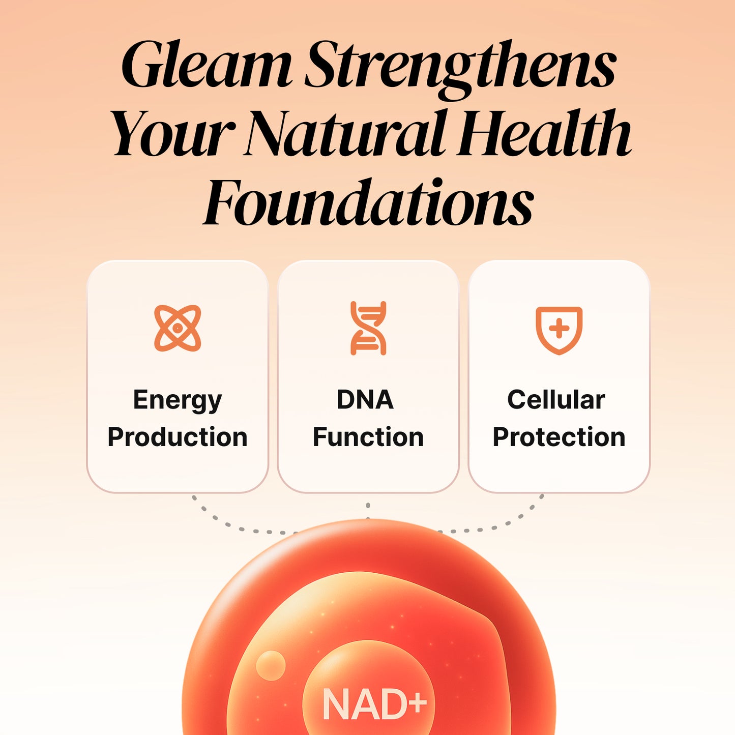 Gleam NAD+ Complex