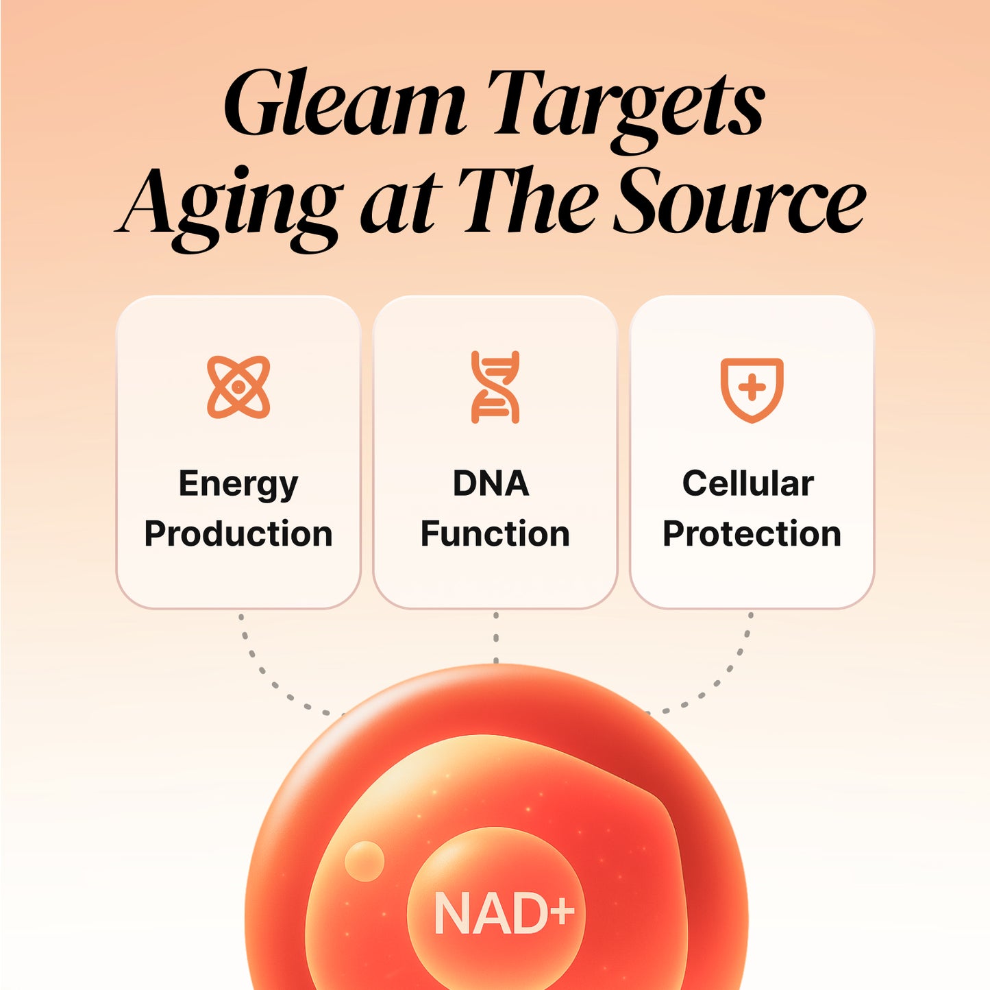 Gleam NAD+ Complex